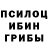 Галлюциногенные грибы мицелий Rais Faker