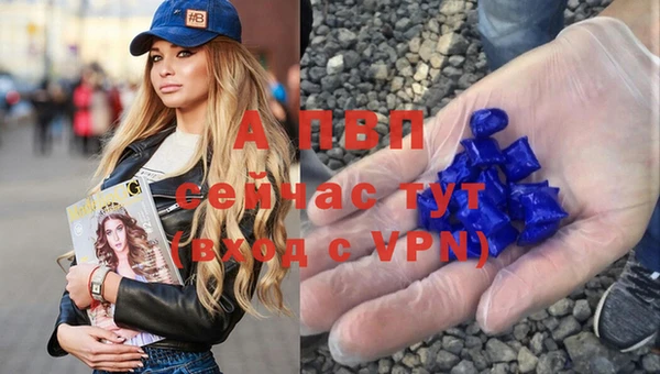 Альфа ПВП Мурманск