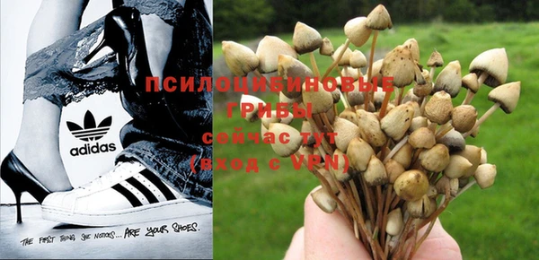 спиды Протвино
