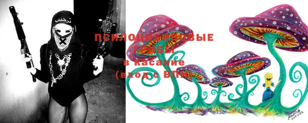 Альфа ПВП Мурманск