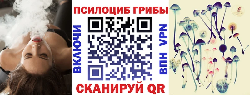Псилоцибиновые грибы ЛСД  Купить где  Малая Вишера 